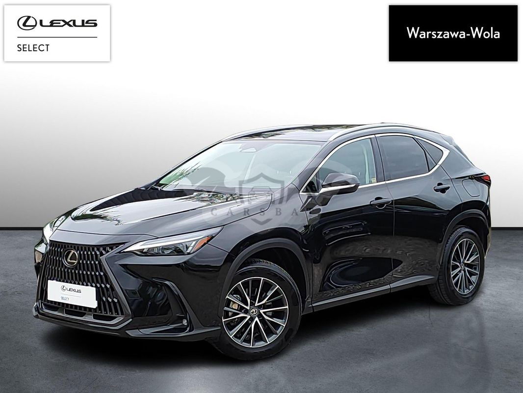 Lexus NX II 2024