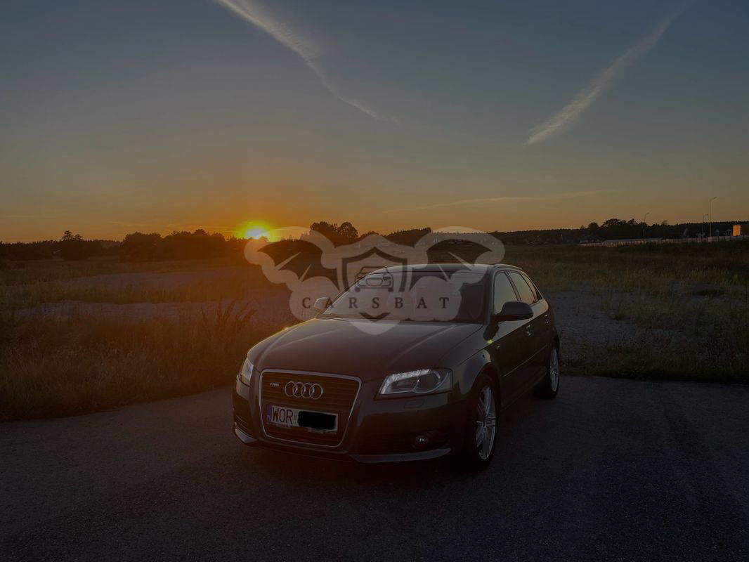 Audi A3 8P 1.8 TFSI Ambition 2010