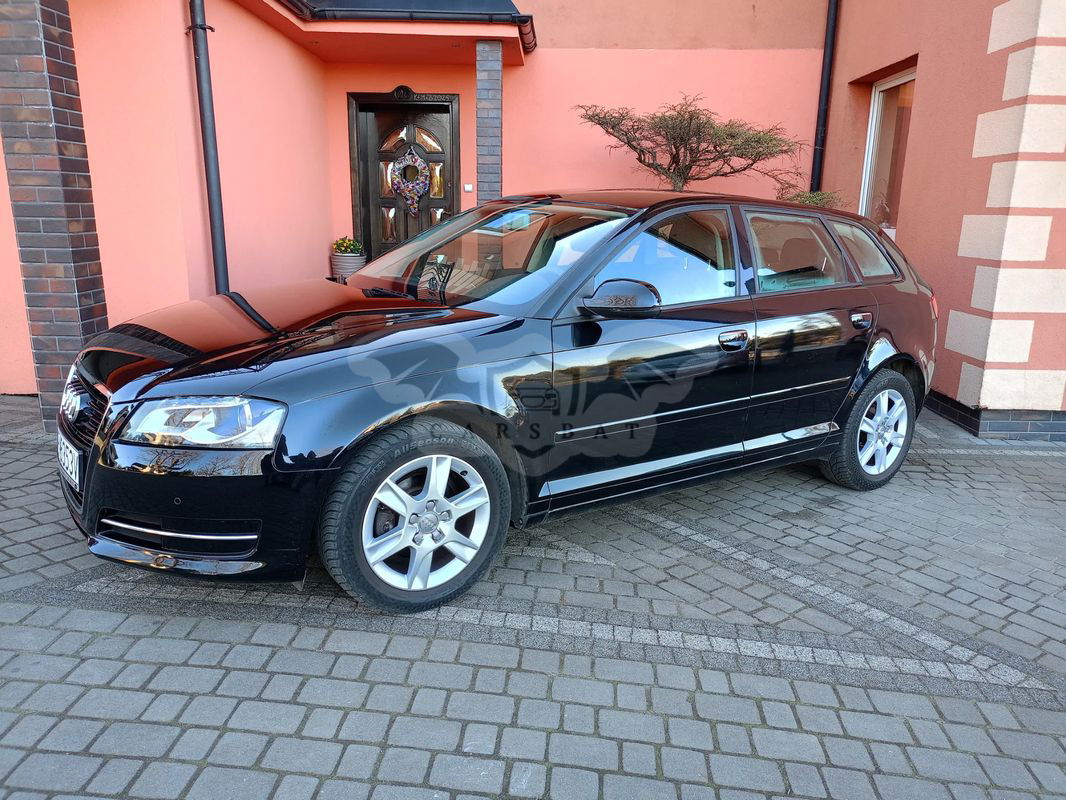 Audi A3 8P 1.6 Ambition 2009