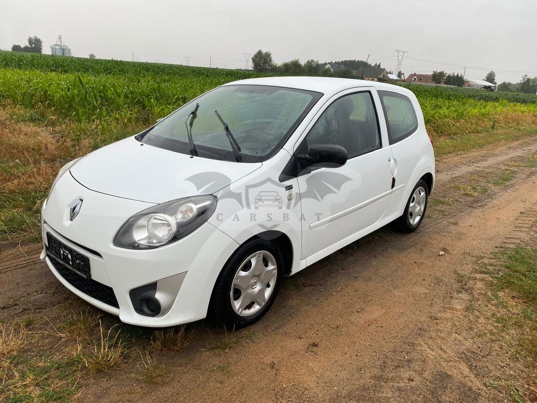 Renault Twingo II 1.2 16V Night&Day 2011