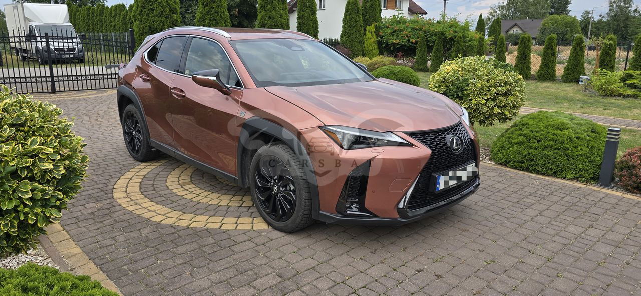 Lexus UX 300h F Sport Design AWD 2024