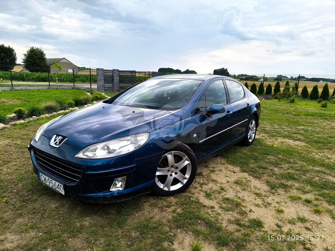 Peugeot 407 2.0 HDI Premium 2007