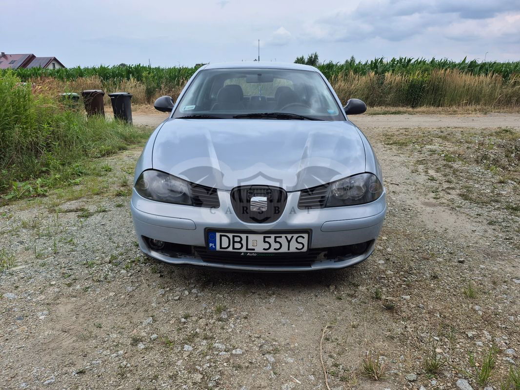 Seat Ibiza III 2004