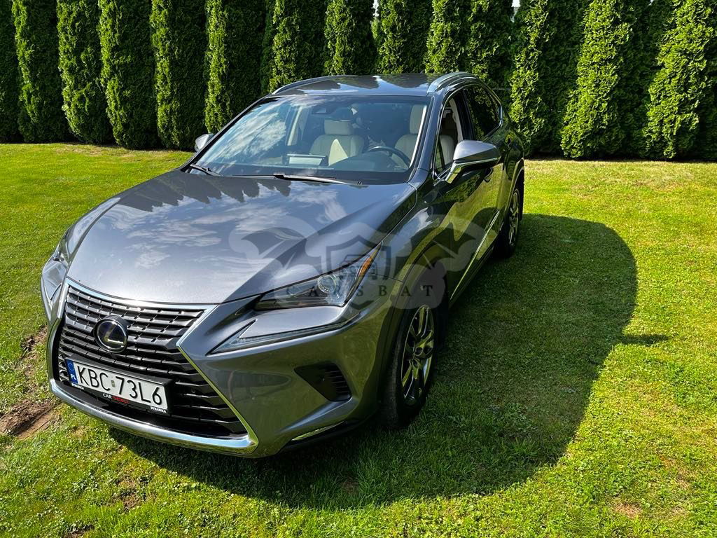 Lexus NX I 300 Elegance AWD 2017