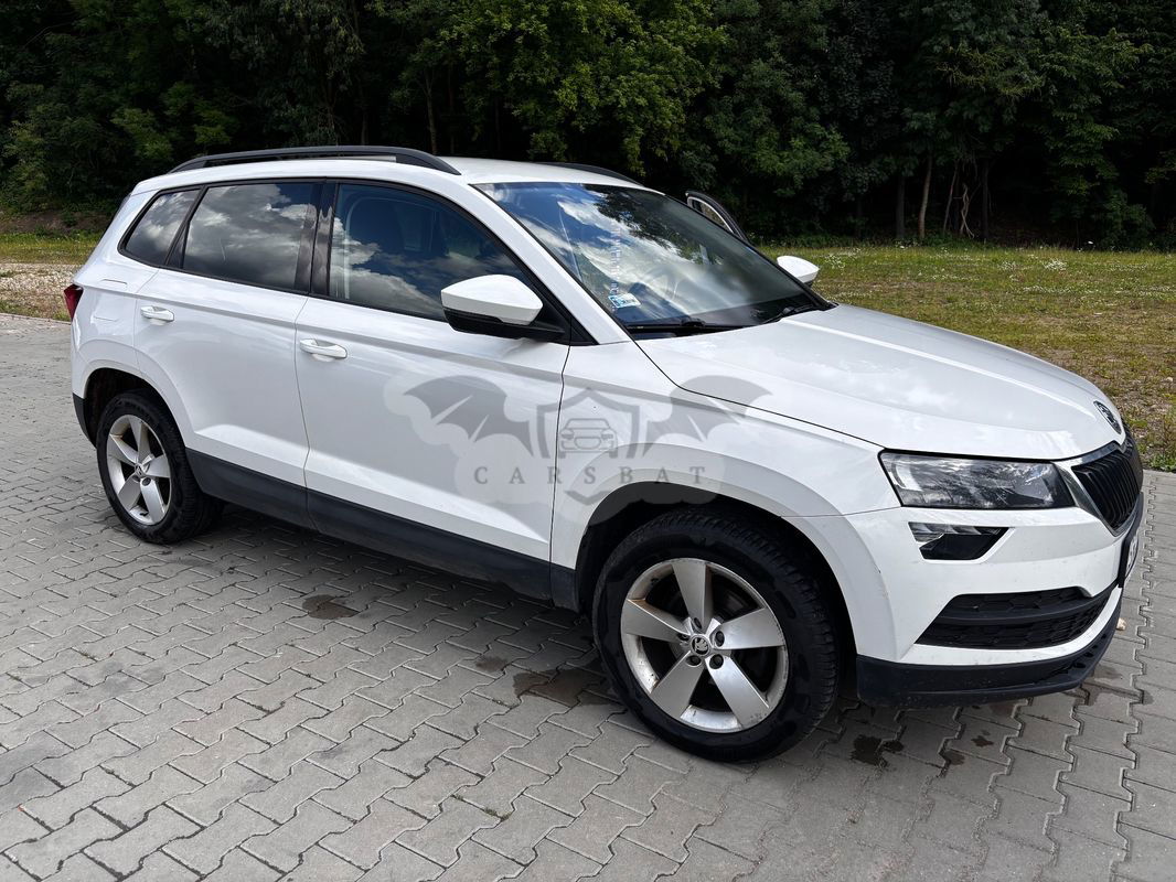 Skoda Karoq 1.6 TDI SCR 4x2 Ambition 2019