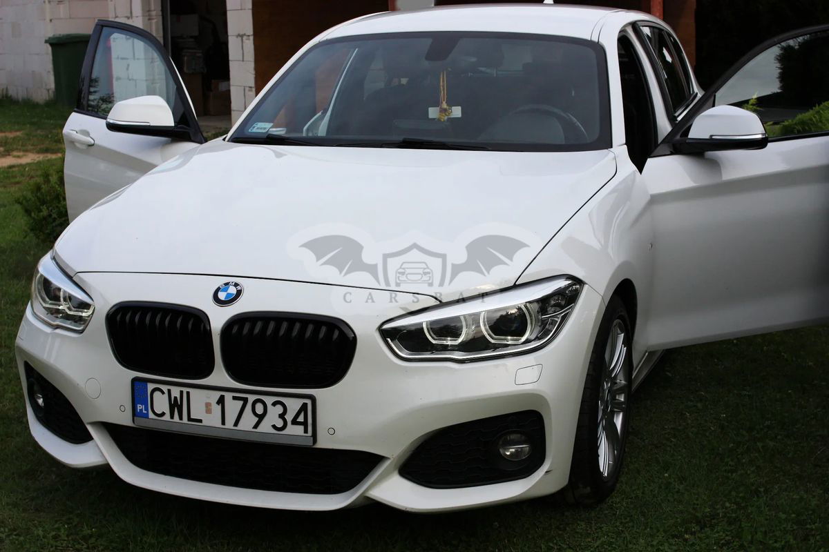 BMW 1 Series F20/F21 116d M Sport 2016