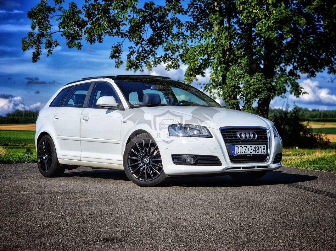 Audi A3 8P 2010