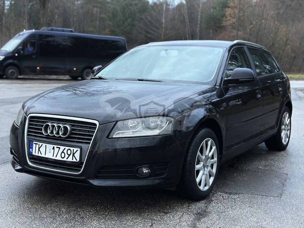 Audi A3 8P 1.6 TDI DPF Ambiente 2010