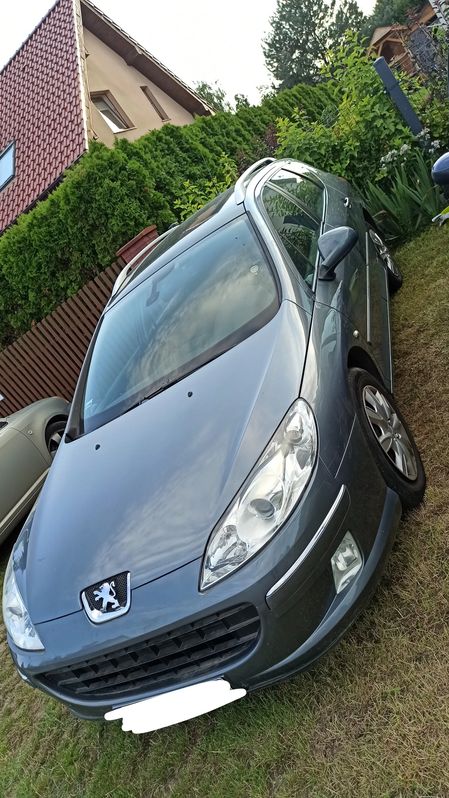 Peugeot 407 2009