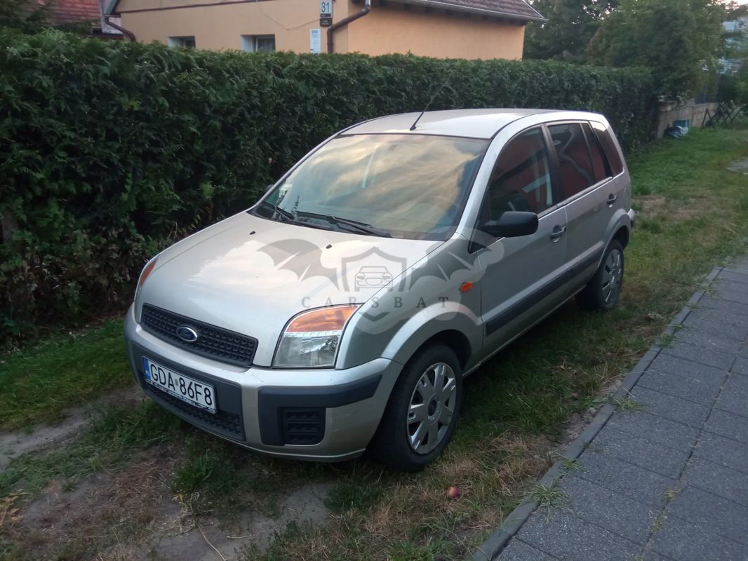 Ford Fusion 1.4 TDCi Ambiente 2007