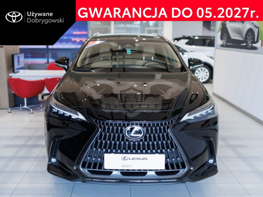 Lexus NX II 2023