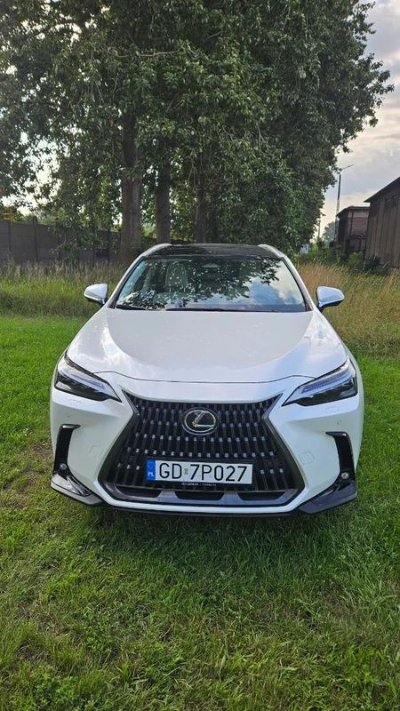 Lexus NX II 350h Omotenashi AWD 2024