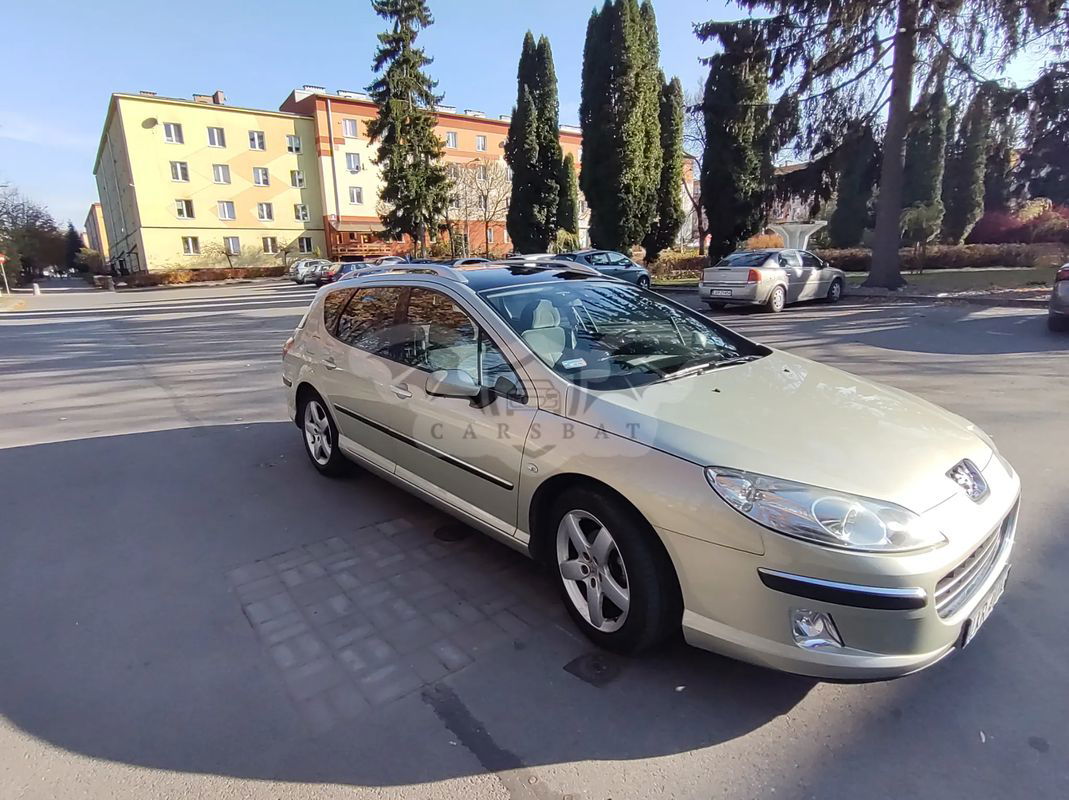 Peugeot 407 2007