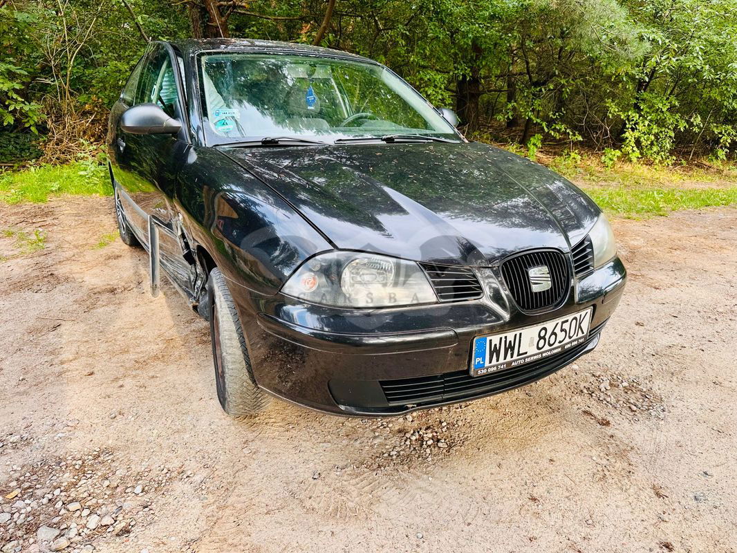 Seat Ibiza III 2004