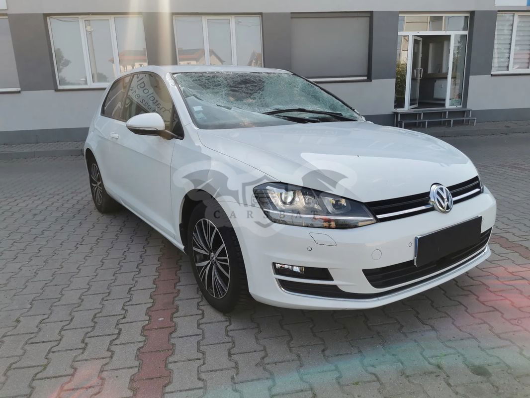 Volkswagen Golf VII 1.4 TSI (BlueMotion Technology) Comfortline 2016