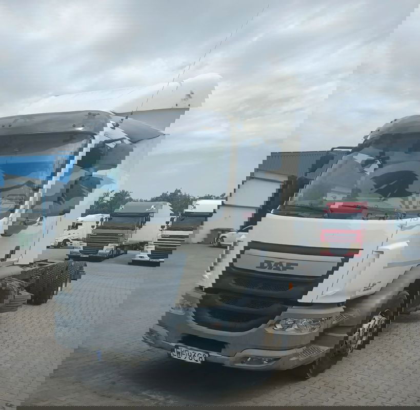 DAF LF 2017