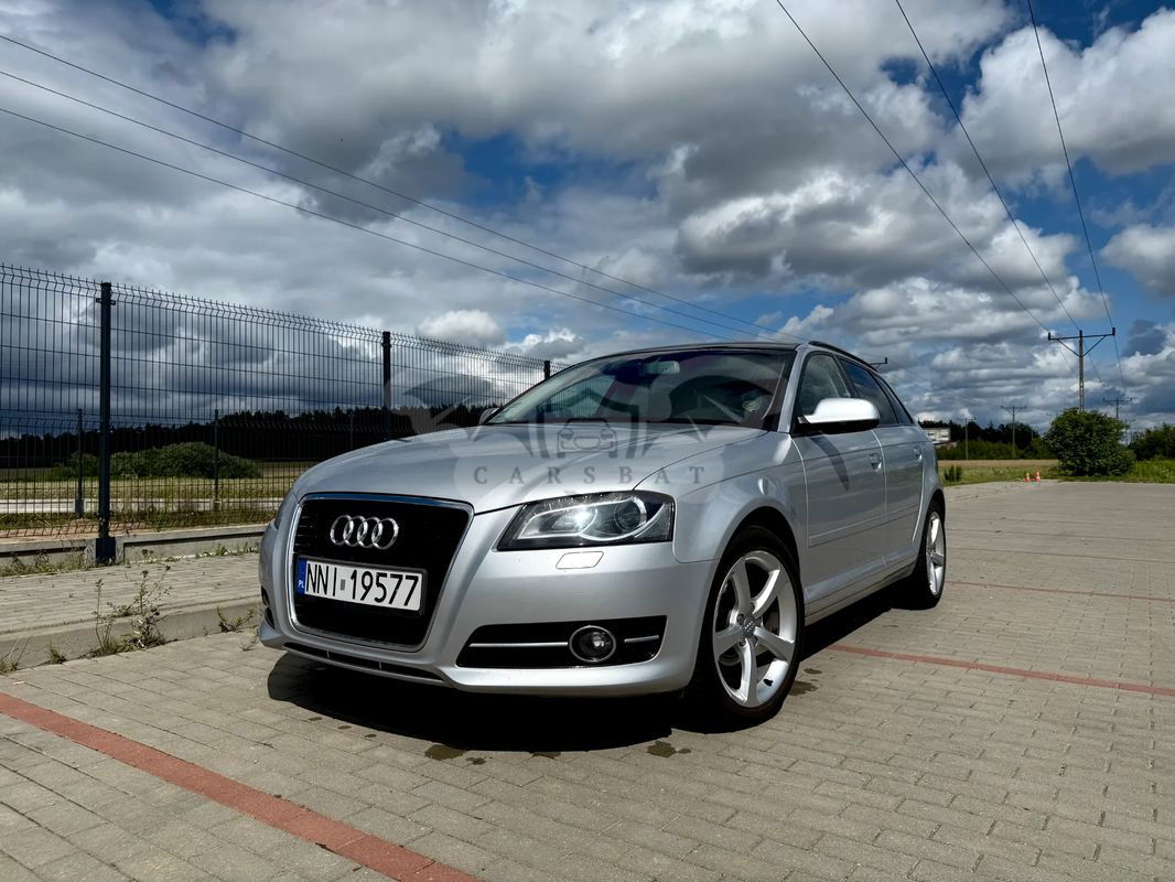 Audi A3 8P 2010