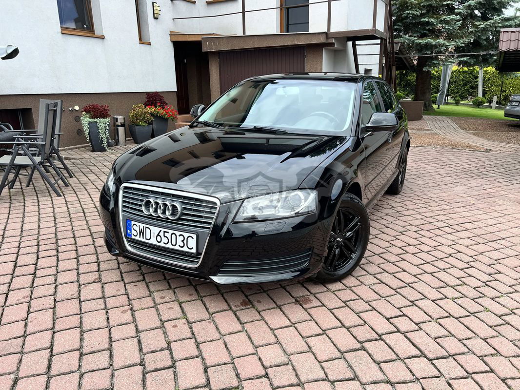 Audi A3 8P 1.6 Ambiente 2010