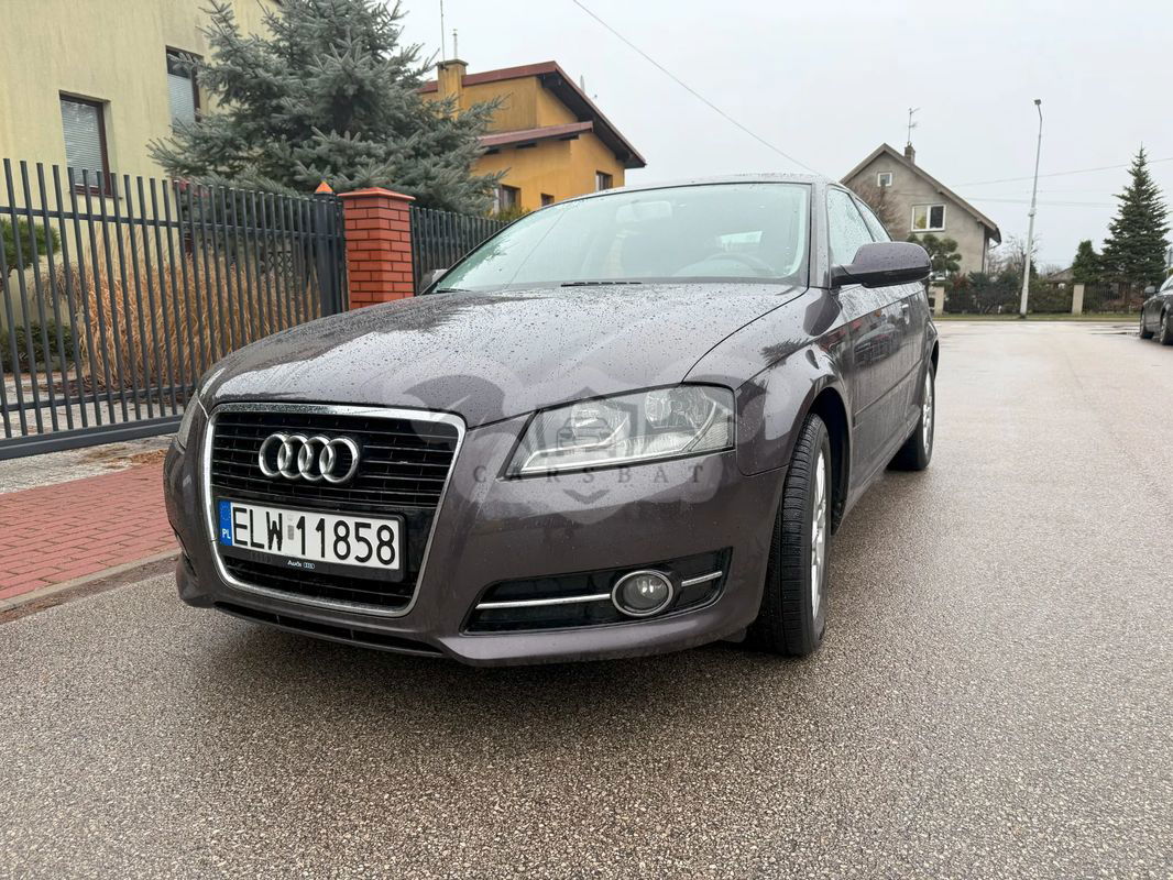 Audi A3 8P 1.6 Attraction 2010