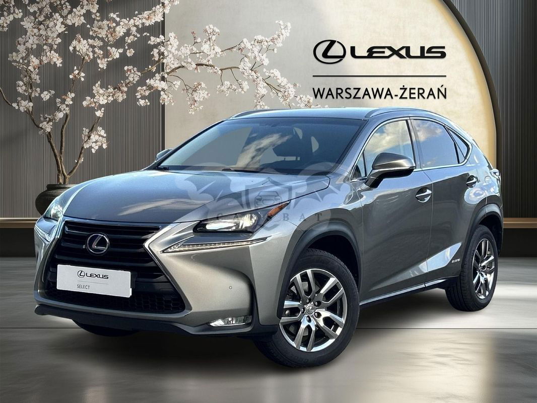 Lexus NX I 2017