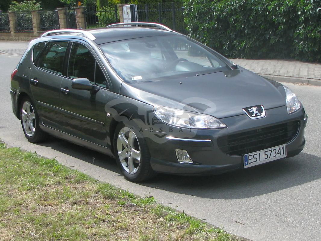 Peugeot 407 2.0 HDI Platinum 2007
