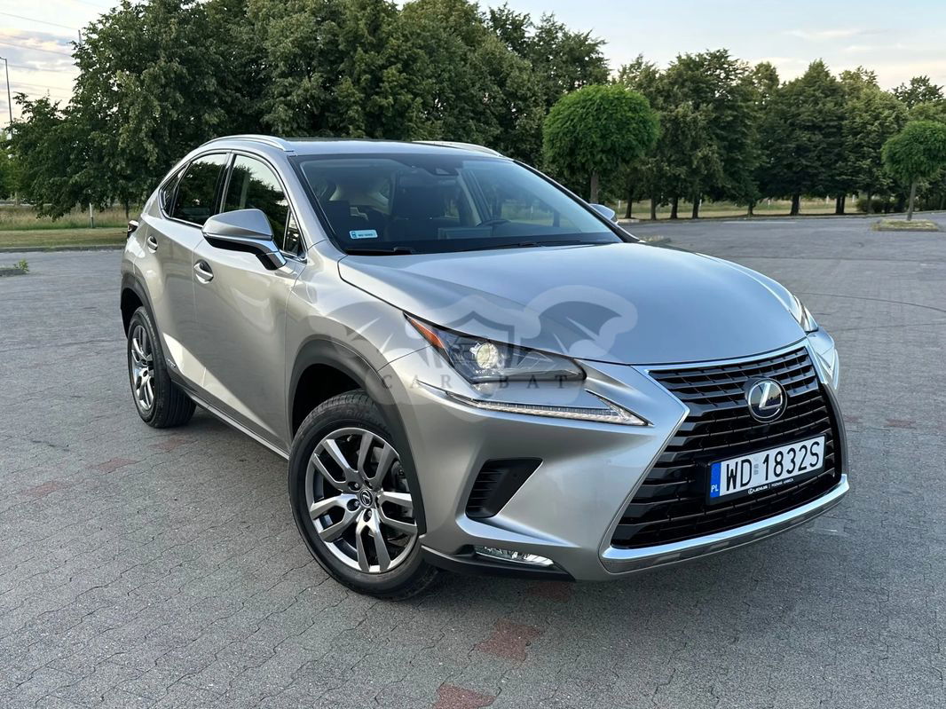 Lexus NX I 300h Business Edition AWD 2021