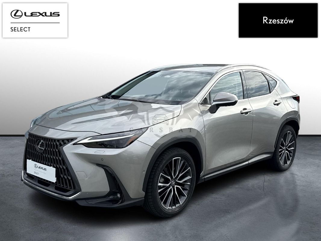 Lexus NX II 2024