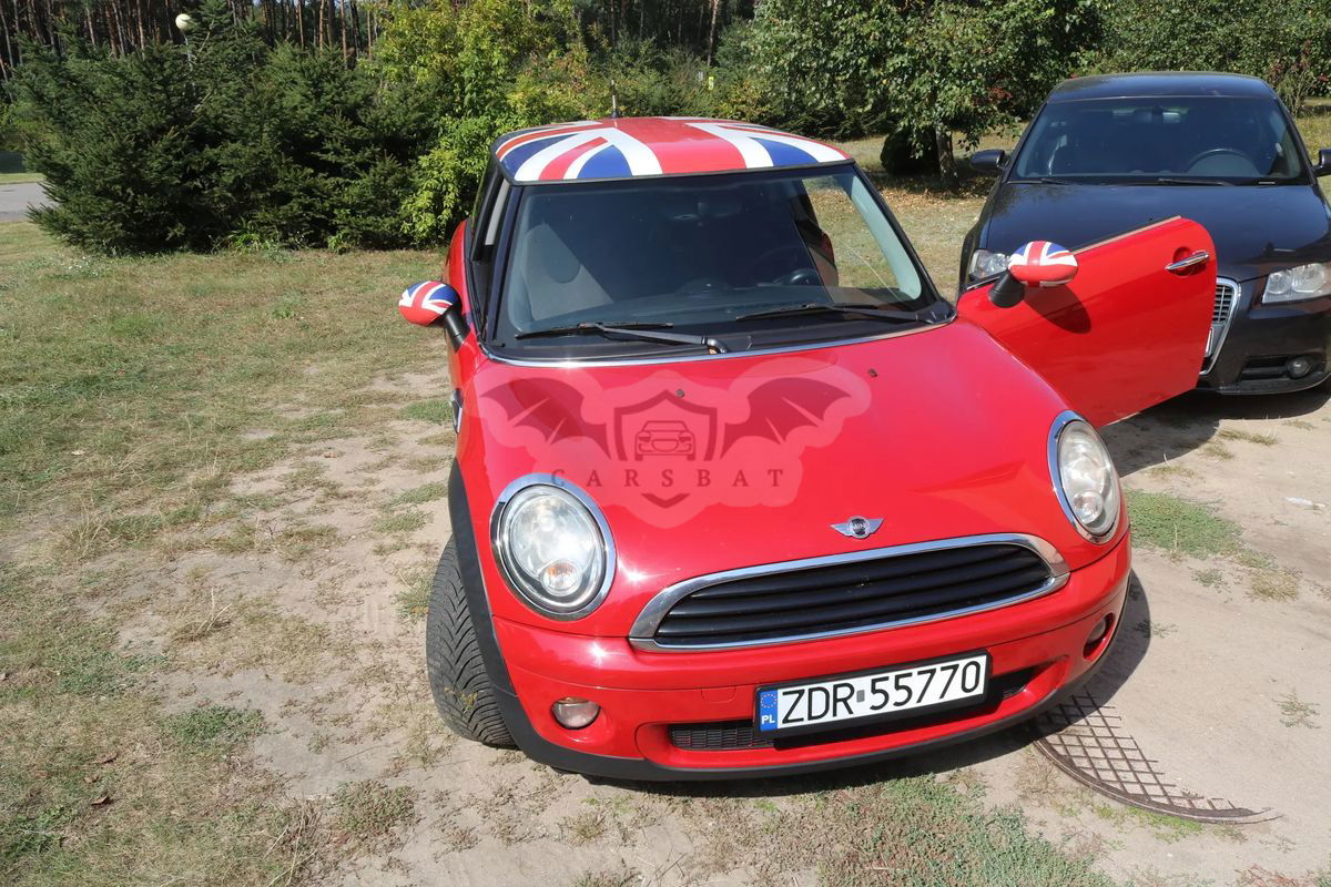 Mini One Standard 2010