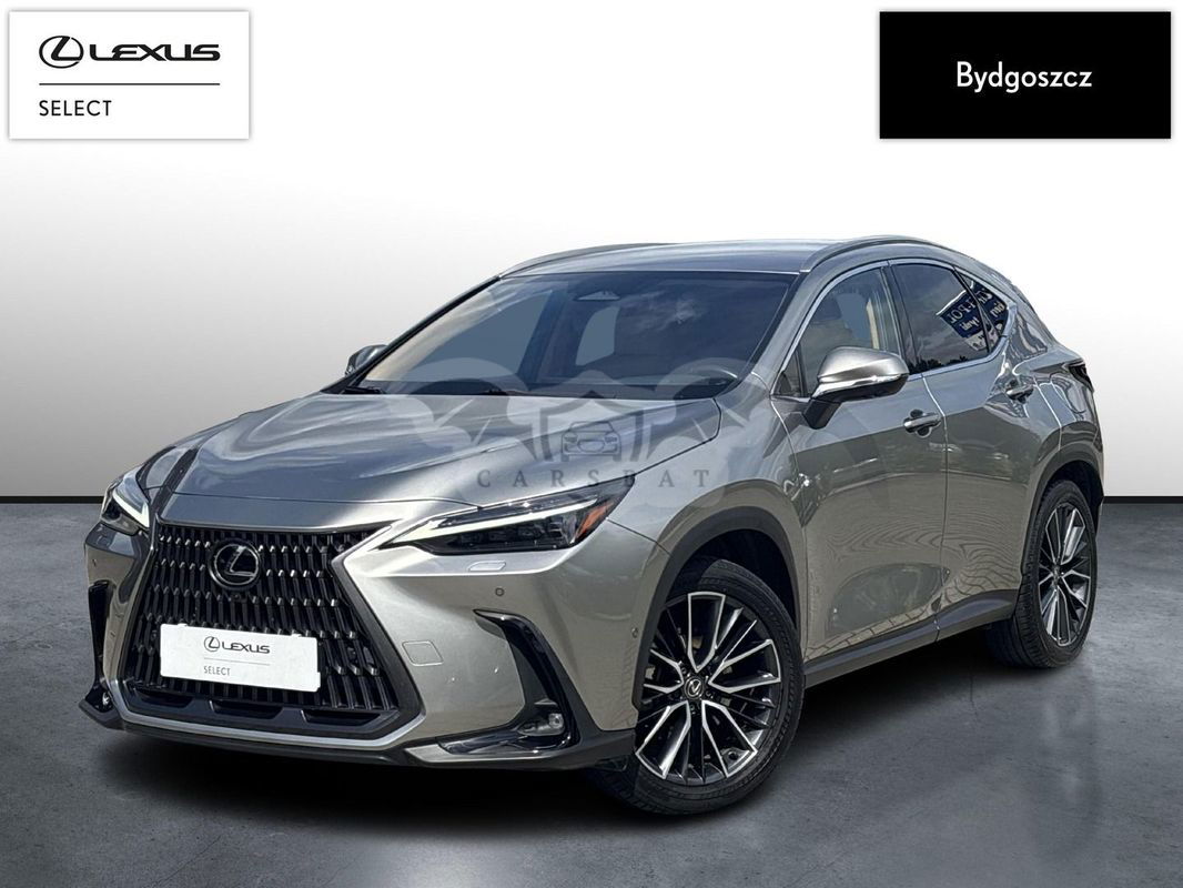 Lexus NX II 2023