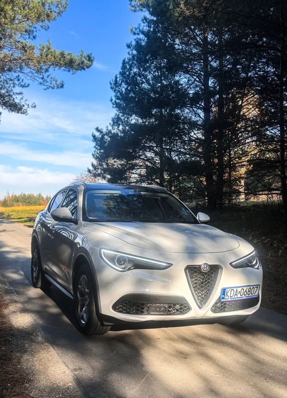 Alfa Romeo Stelvio 2.0 Turbo 16V AT8-Q4 Executive 2020