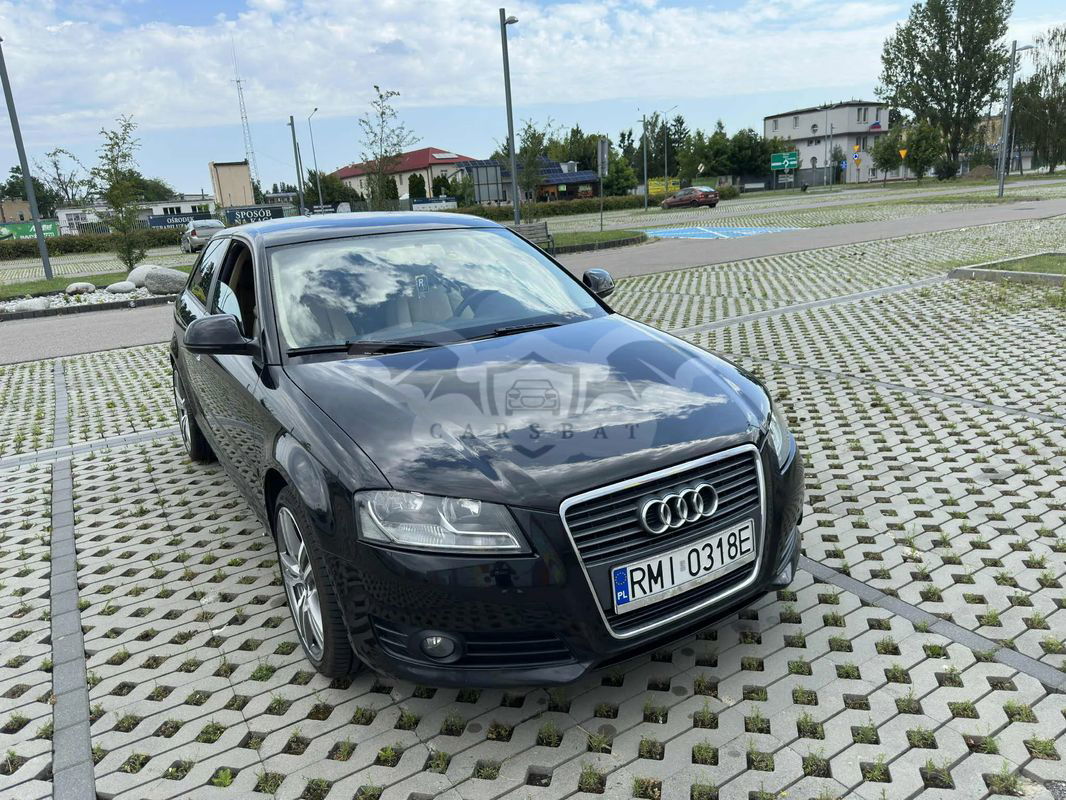 Audi A3 8P 1.6 TDI DPF Ambition 2009