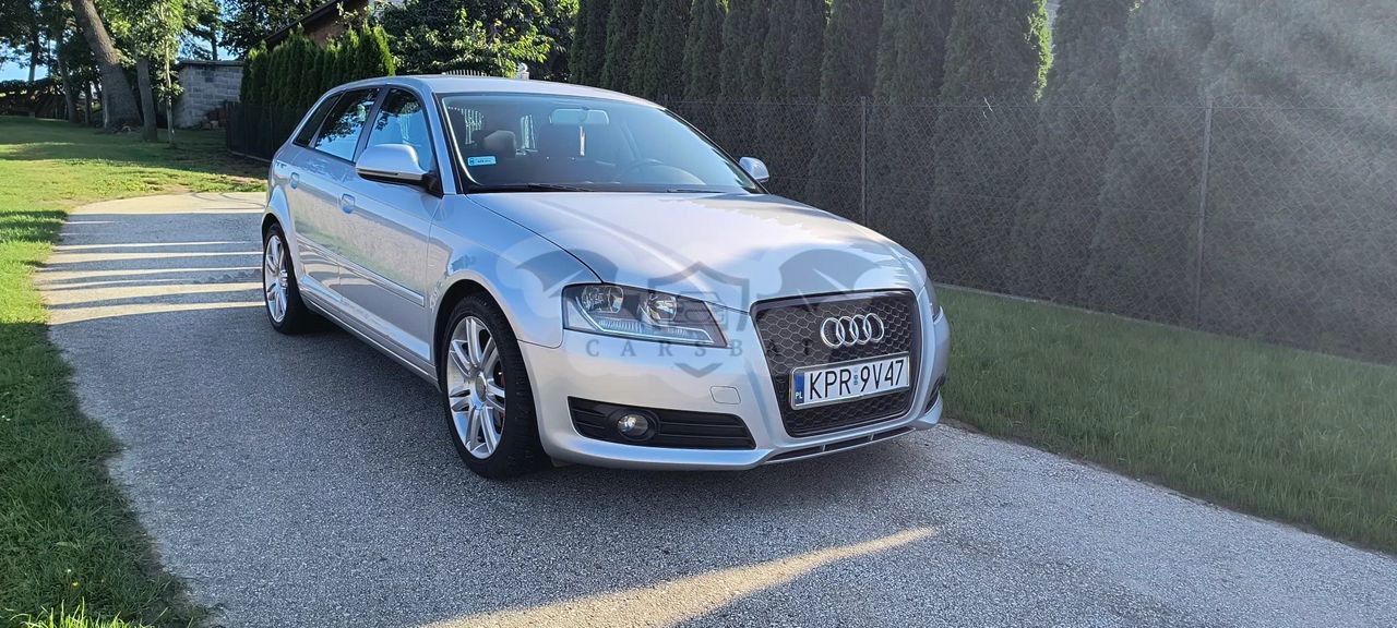 Audi A3 8P 1.8 TFSI Ambition 2009