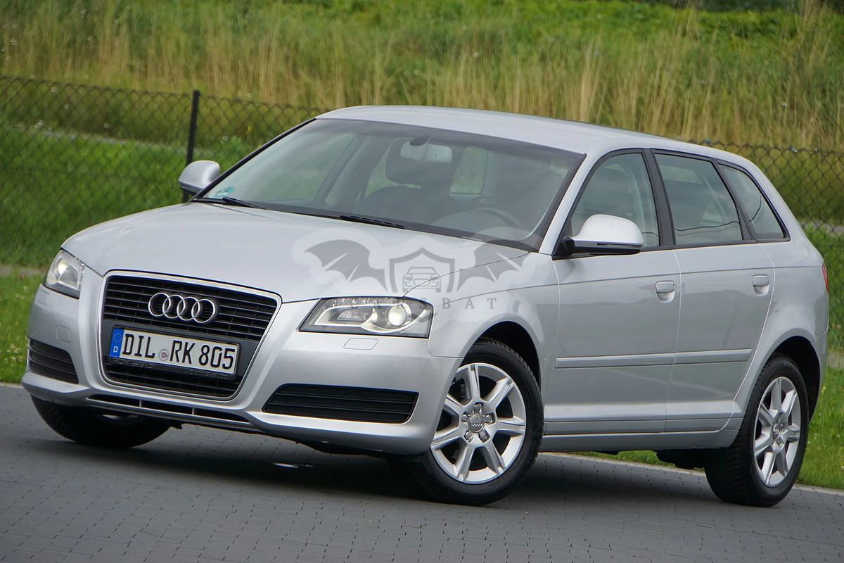Audi A3 8P 2010