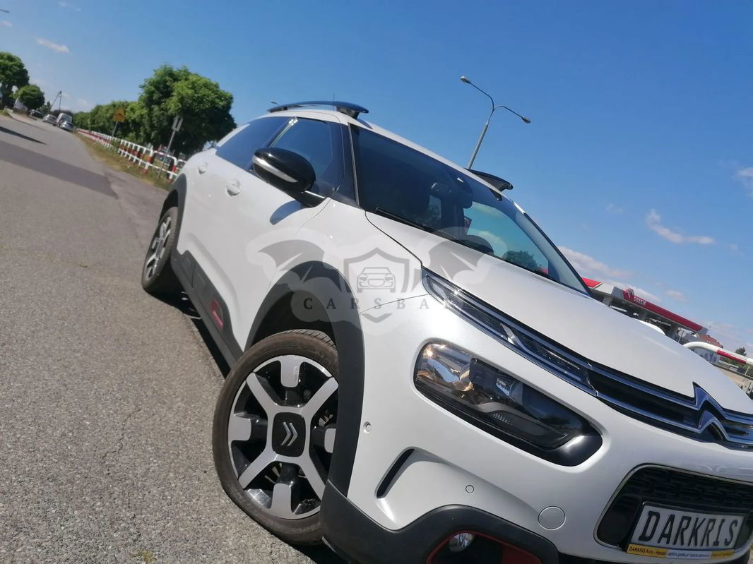 Citroën C4 Cactus 1.2 PureTech Shine S&S 2020