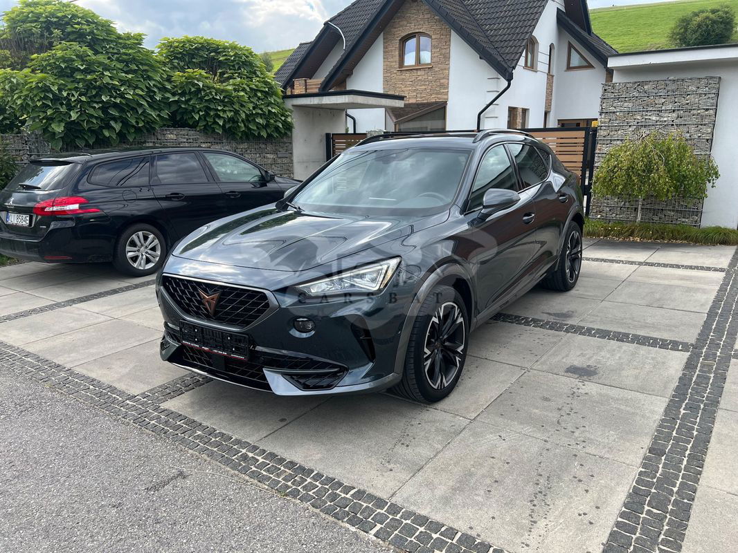 Cupra Formentor 2.0 TDI 2022