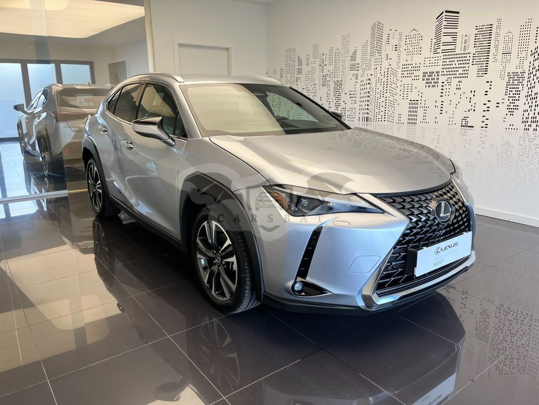 Lexus UX 300h Business 2024