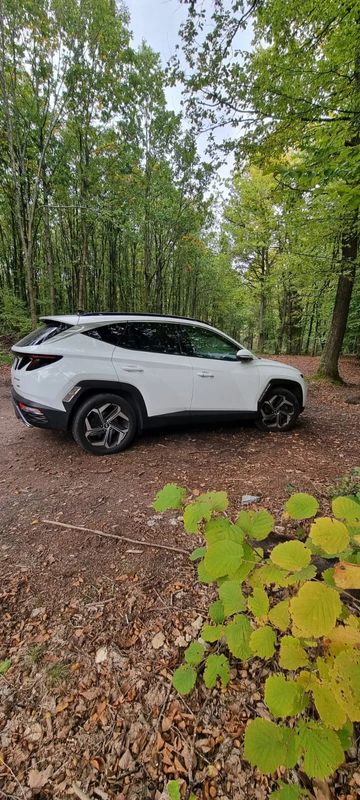 Hyundai Tucson IV 2021