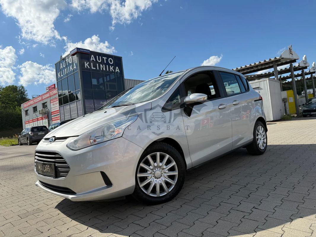 Ford B-Max 1.0 EcoBoost Ambiente 2013