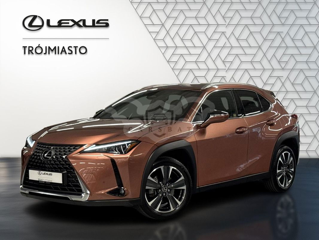 Lexus UX 300h Business 2024