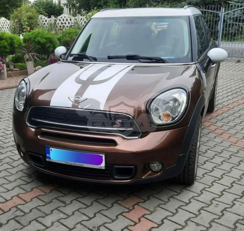 Mini Countryman 2012
