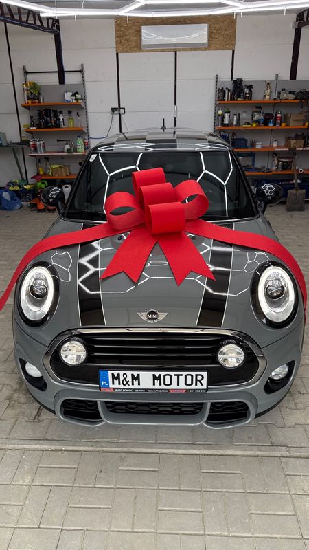 Mini John Cooper Works One Trim 2017