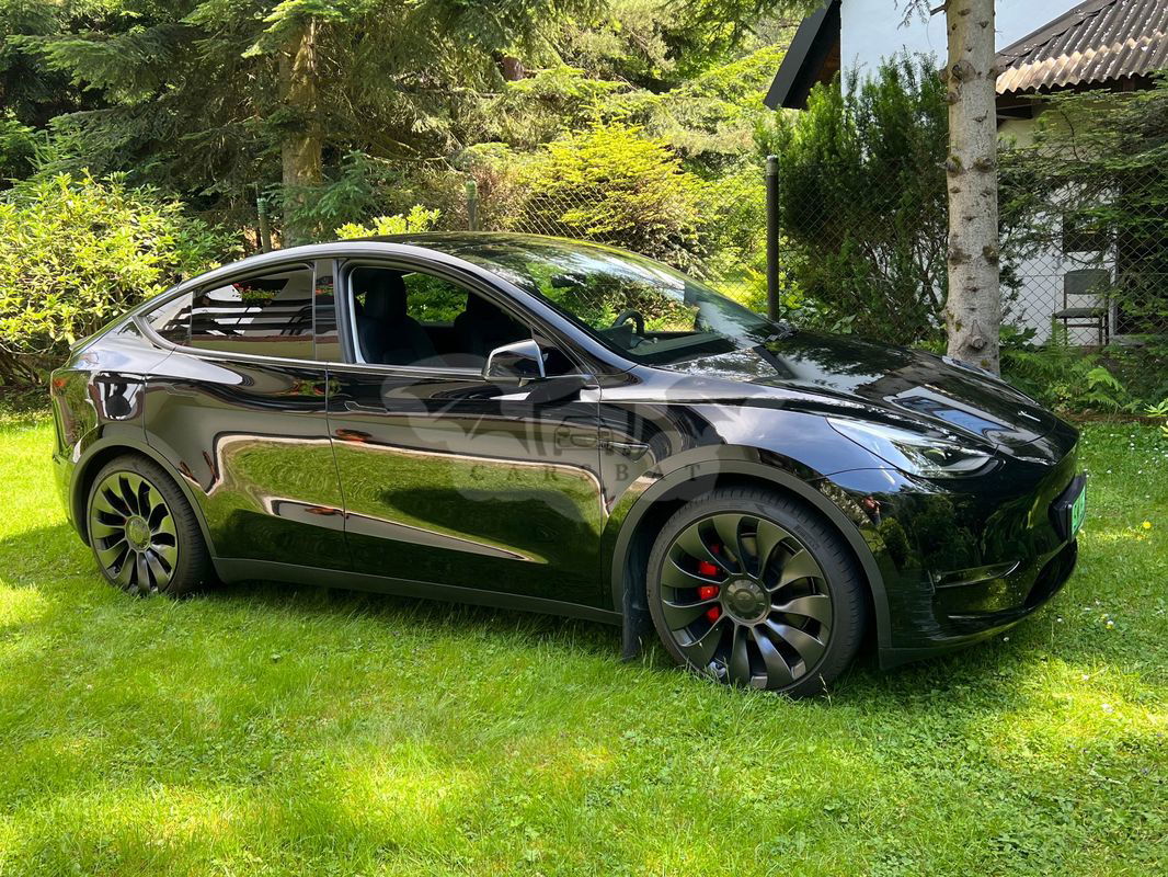 Tesla Model Y Model Performance Dual Motor AWD 2022