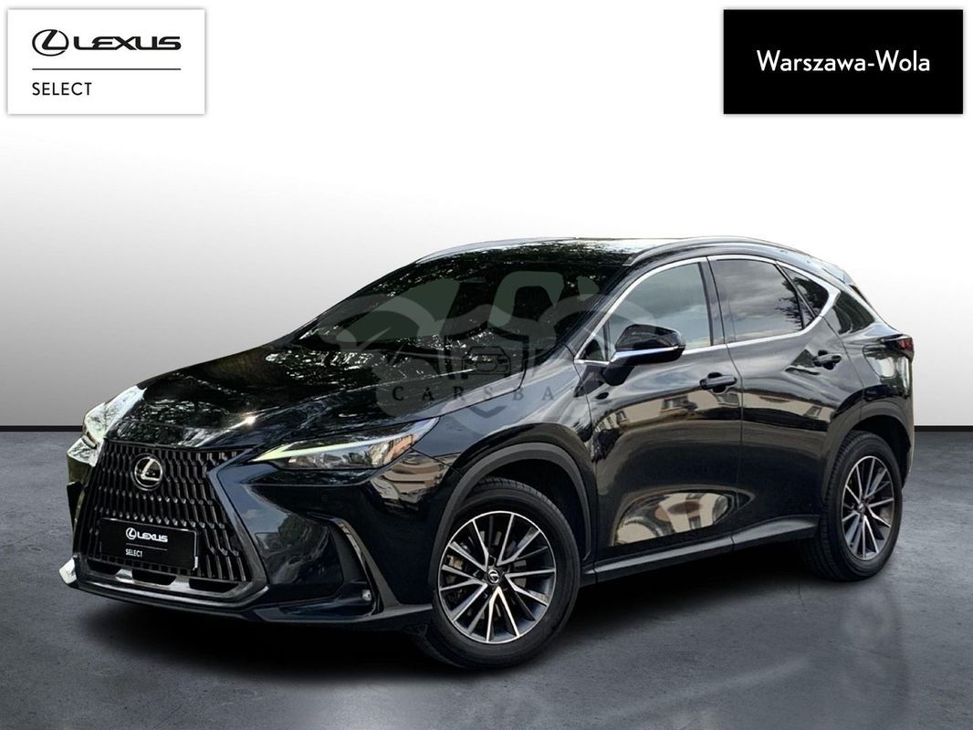 Lexus NX II 2023