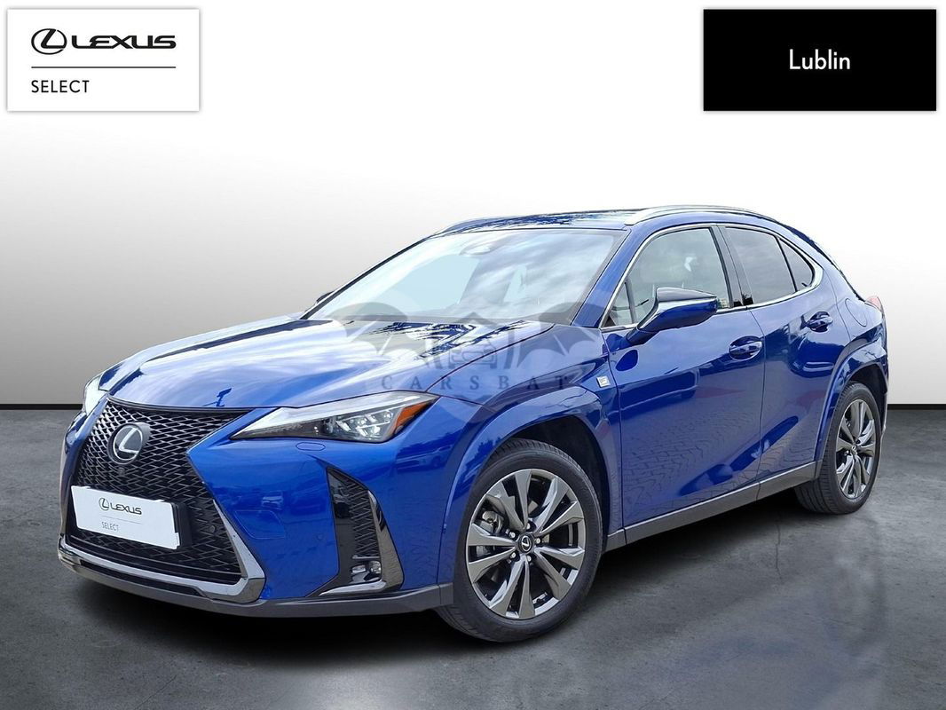 Lexus UX 2024