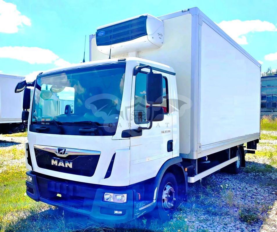 MAN TGL 2020