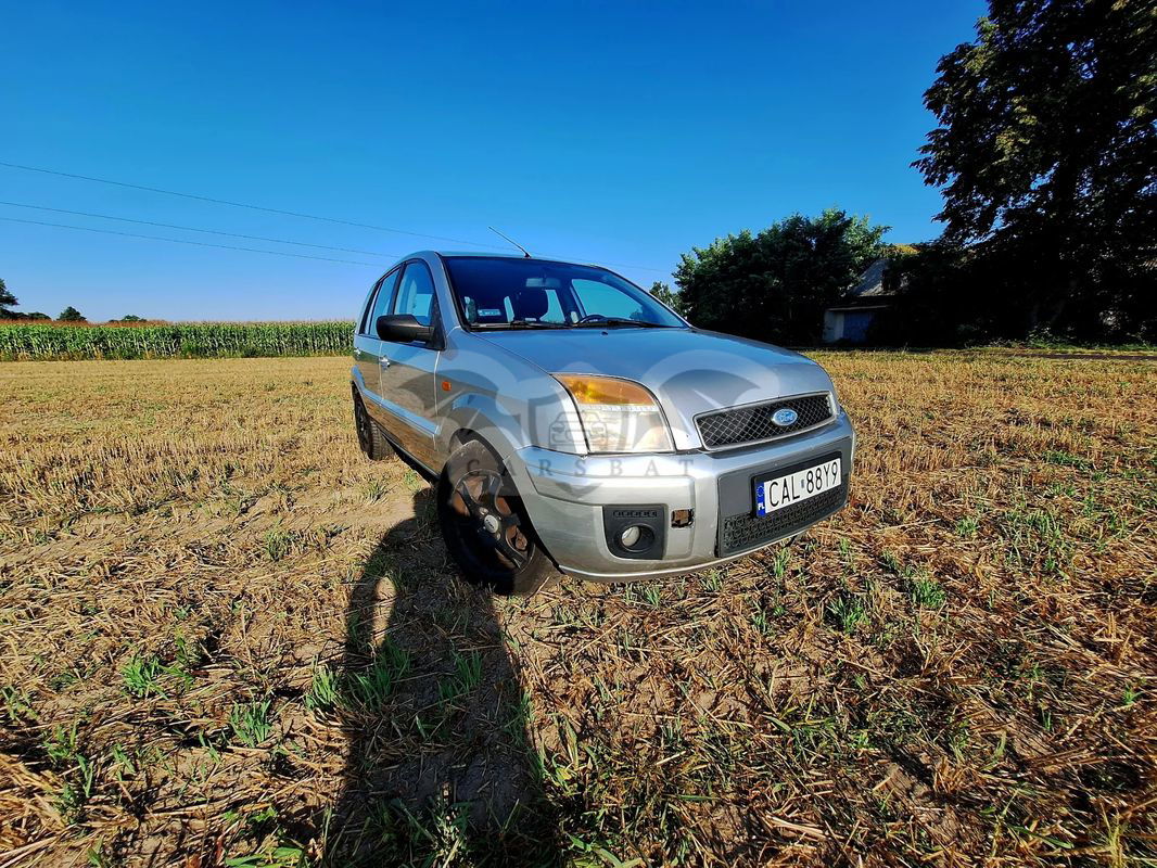 Ford Fusion 1.6 TDCi Ambiente 2007