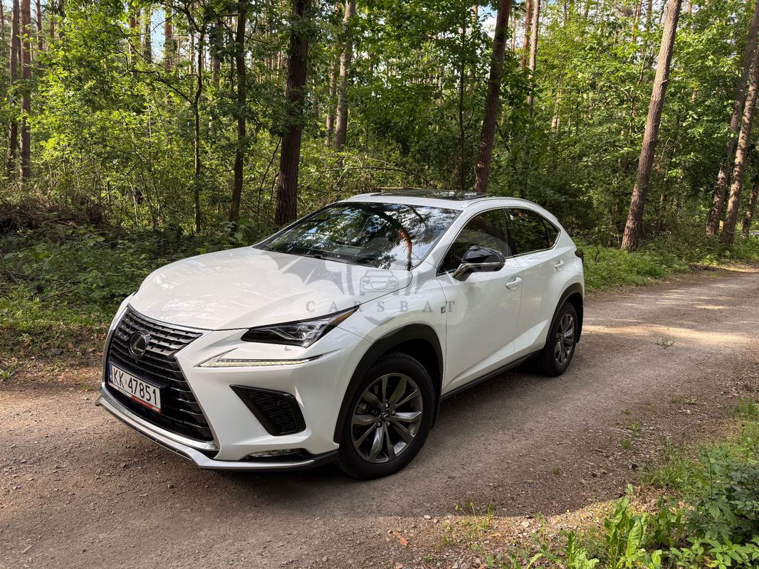 Lexus NX I 300 F Sport AWD 2020