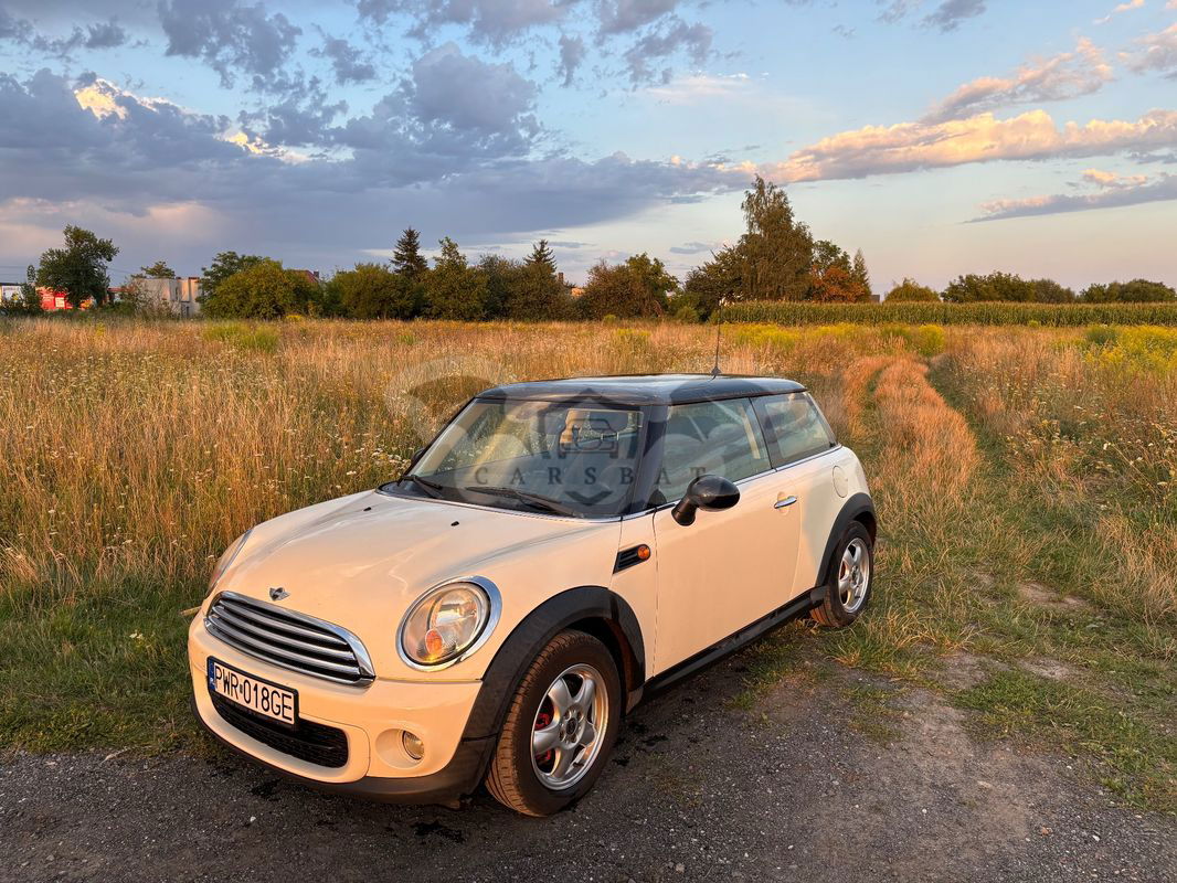 Mini One D 2010