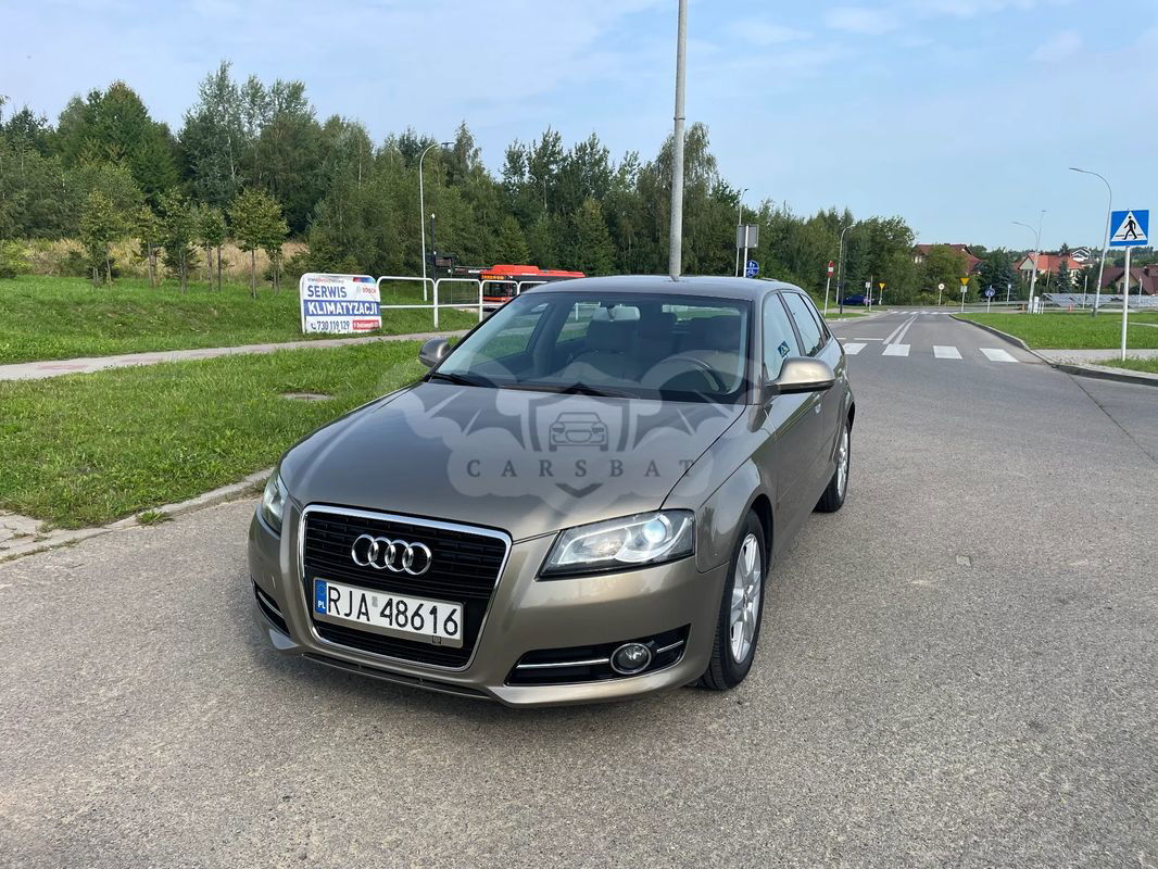 Audi A3 8P 1.6 TDI DPF Ambition 2010