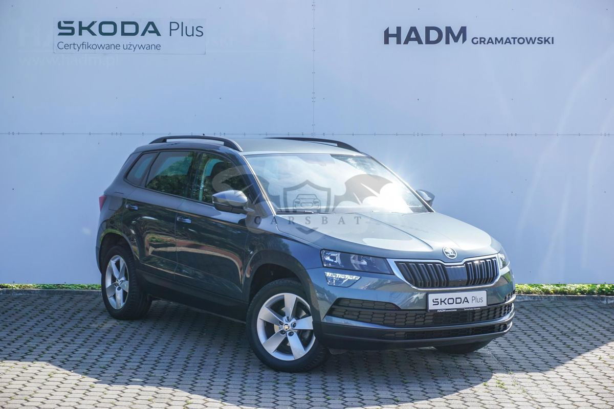 Skoda Karoq 2019